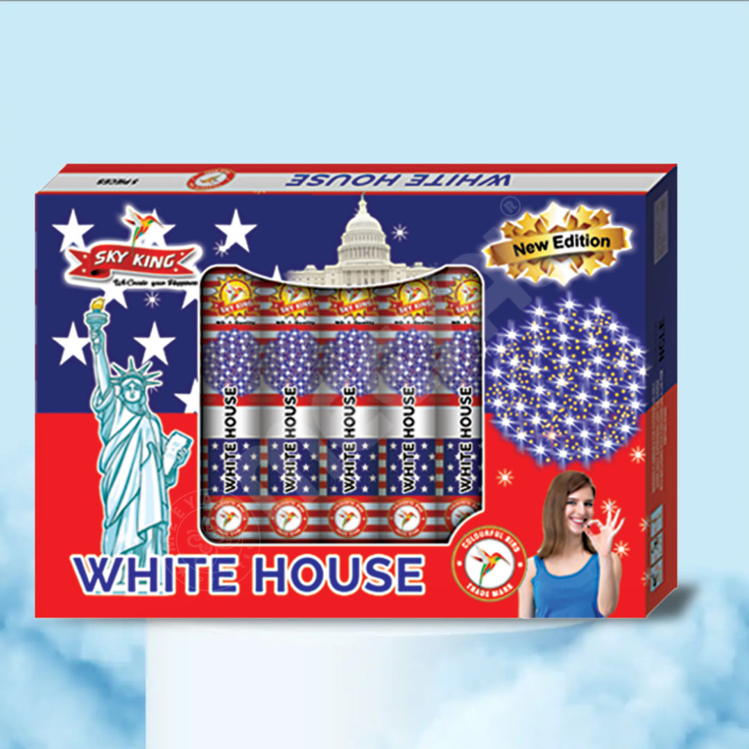 SkyKing(White House)